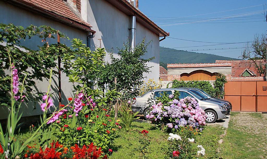 Pensiunea Bendorfeanu Răşinari Exterior foto