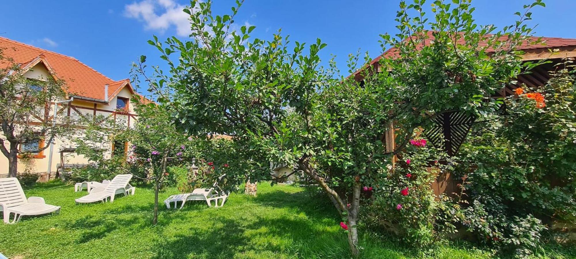 Pensiunea Bendorfeanu Răşinari Exterior foto